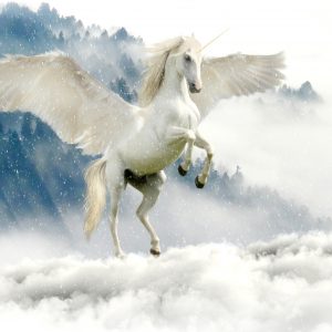unicorn 2875349 1920