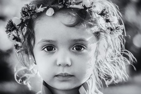 Črna ovca v družini/ Pixabay.com